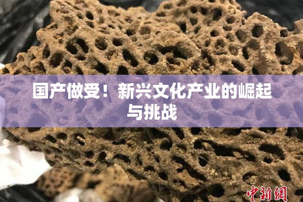 国产做受！新兴文化产业的崛起与挑战