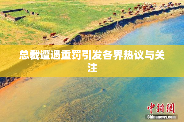 总裁遭遇重罚引发各界热议与关注