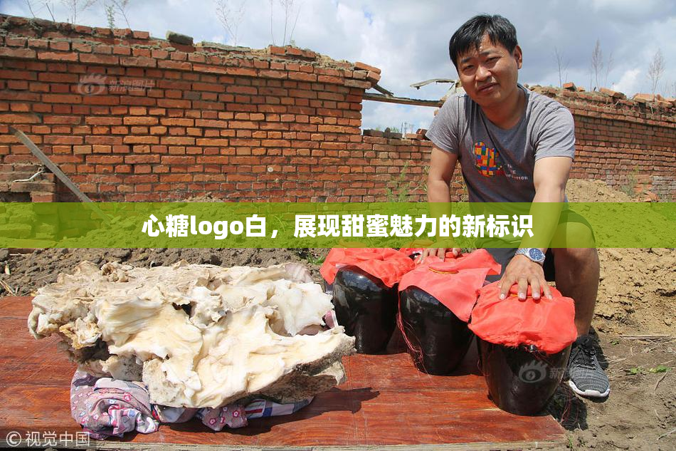 心糖logo白，展现甜蜜魅力的新标识