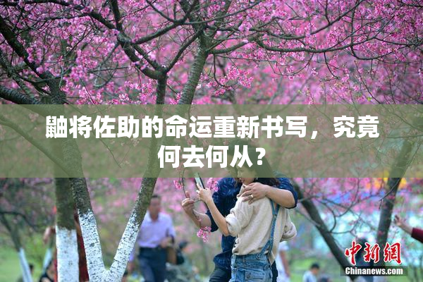 鼬将佐助的命运重新书写，究竟何去何从？