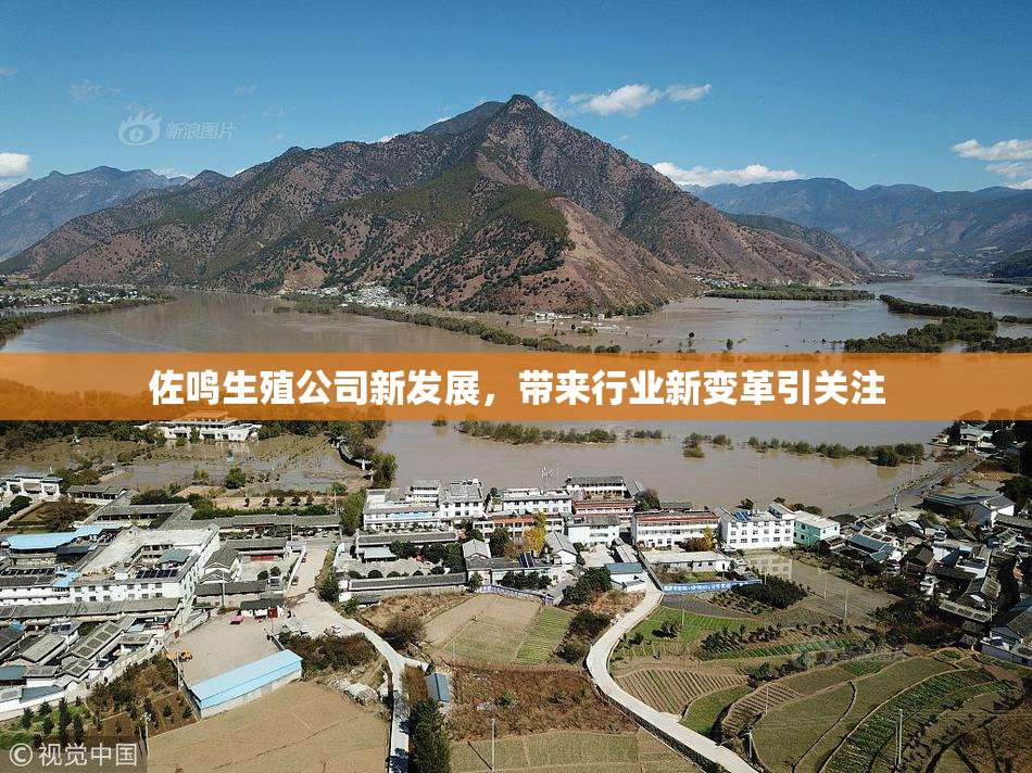 佐鸣生殖公司新发展，带来行业新变革引关注