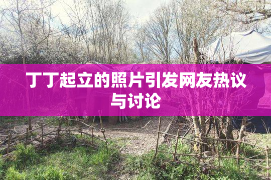 丁丁起立的照片引发网友热议与讨论