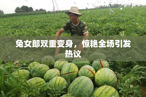 兔女郎双重变身，惊艳全场引发热议