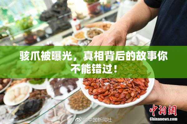 骇爪被曝光，真相背后的故事你不能错过！
