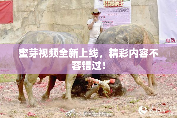 蜜芽视频全新上线，精彩内容不容错过！
