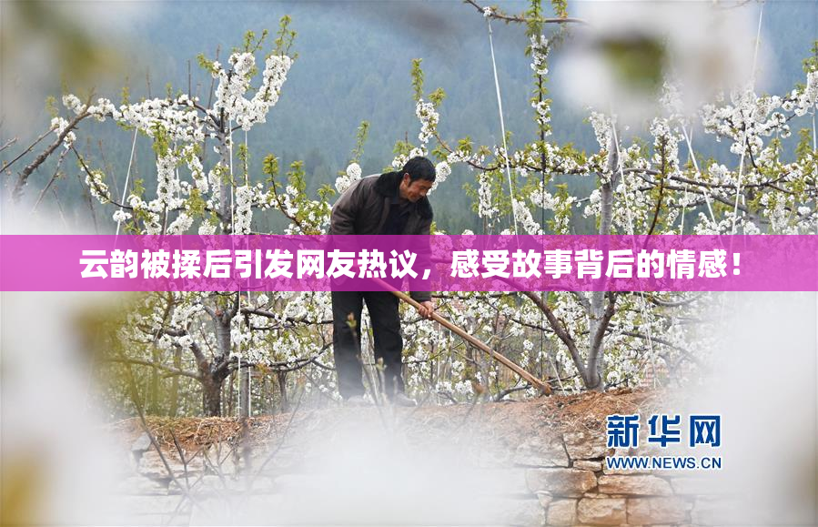 云韵被揉后引发网友热议，感受故事背后的情感！