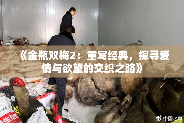《金瓶双梅2：重写经典，探寻爱情与欲望的交织之路》