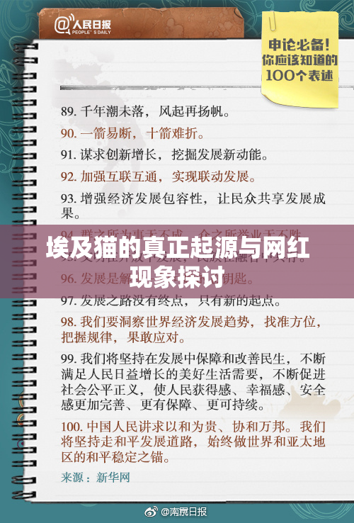 埃及猫的真正起源与网红现象探讨