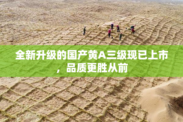 全新升级的国产黄A三级现已上市，品质更胜从前