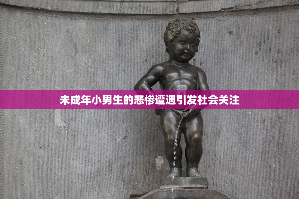 未成年小男生的悲惨遭遇引发社会关注