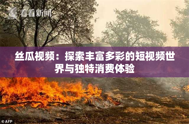丝瓜视频：探索丰富多彩的短视频世界与独特消费体验