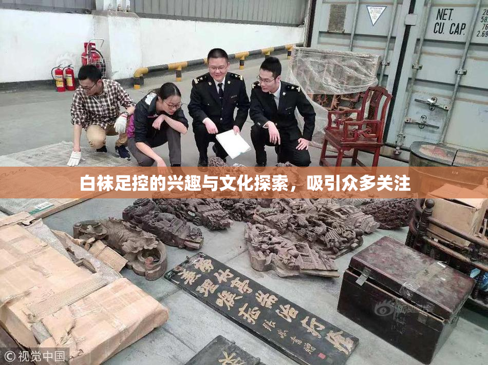 白袜足控的兴趣与文化探索，吸引众多关注