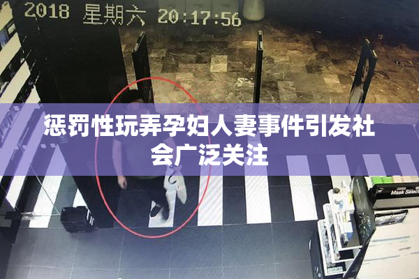 惩罚性玩弄孕妇人妻事件引发社会广泛关注