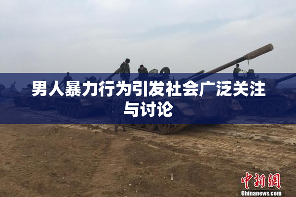 男人暴力行为引发社会广泛关注与讨论