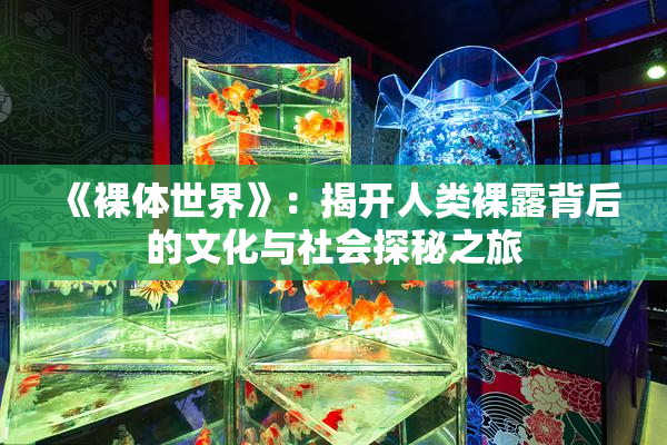《裸体世界》：揭开人类裸露背后的文化与社会探秘之旅