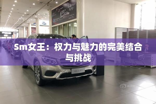 Sm女王：权力与魅力的完美结合与挑战