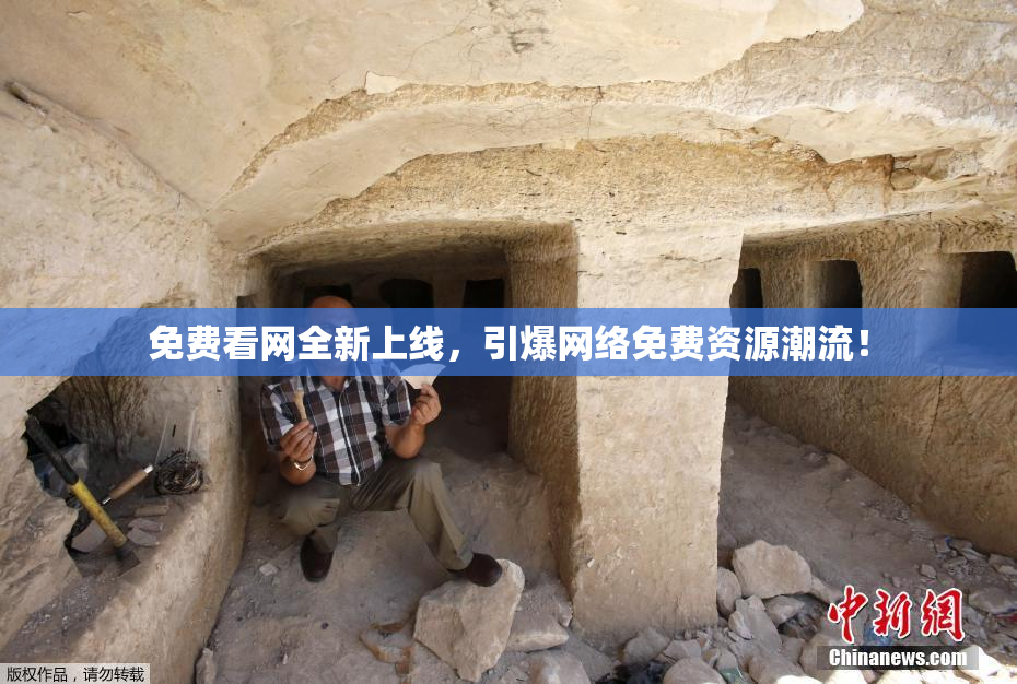 免费看网全新上线，引爆网络免费资源潮流！