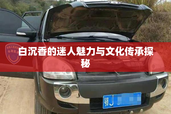 白沉香的迷人魅力与文化传承探秘