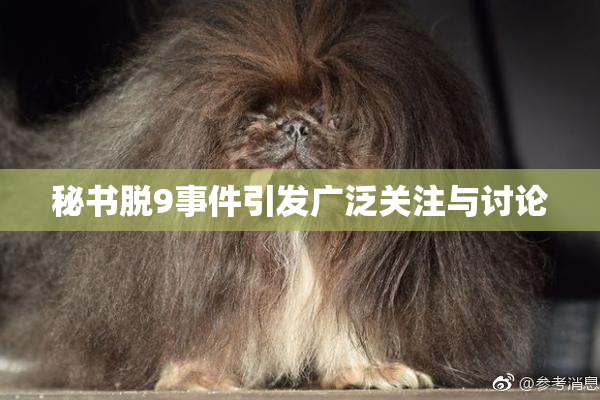 秘书脱9事件引发广泛关注与讨论