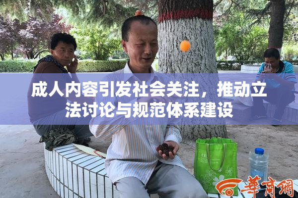成人内容引发社会关注，推动立法讨论与规范体系建设