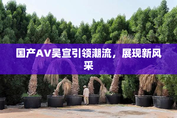 国产AV吴宣引领潮流，展现新风采
