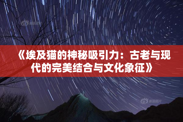 《埃及猫的神秘吸引力：古老与现代的完美结合与文化象征》