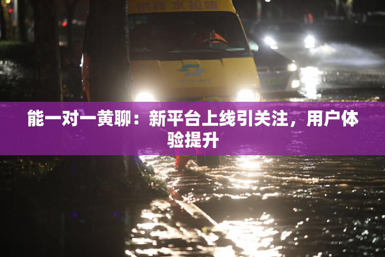 能一对一黄聊：新平台上线引关注，用户体验提升