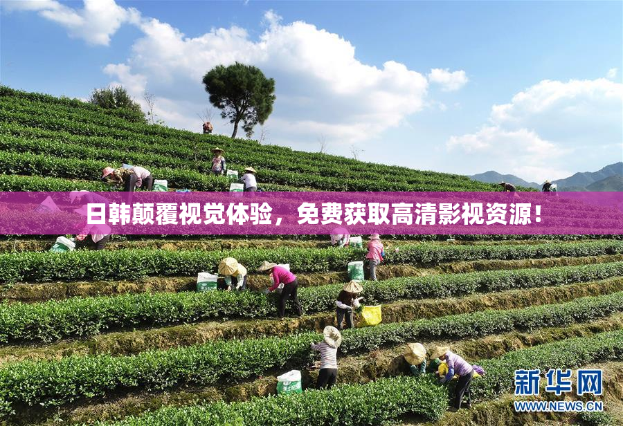 日韩颠覆视觉体验，免费获取高清影视资源！