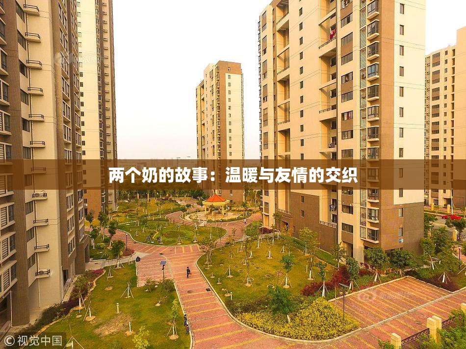 两个奶的故事：温暖与友情的交织