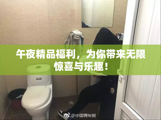 午夜精品福利，为你带来无限惊喜与乐趣！
