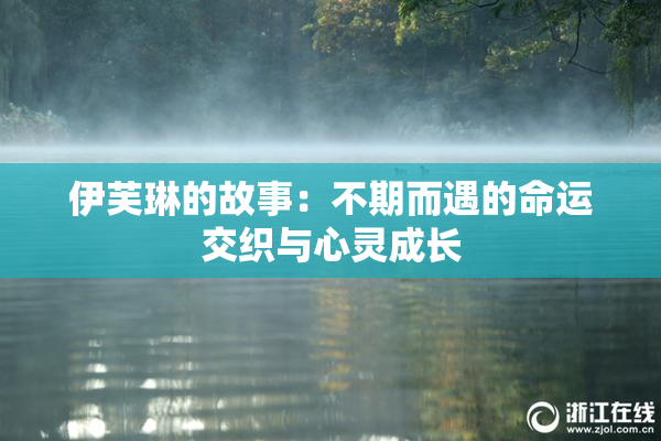 伊芙琳的故事：不期而遇的命运交织与心灵成长