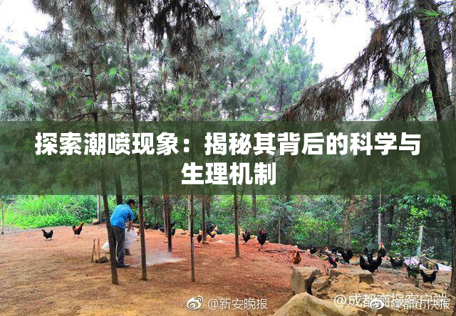探索潮喷现象：揭秘其背后的科学与生理机制