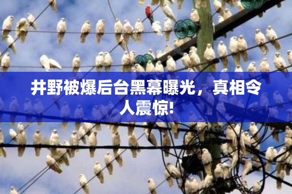 井野被爆后台黑幕曝光，真相令人震惊!