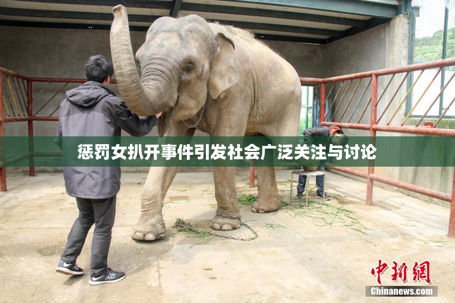 惩罚女扒开事件引发社会广泛关注与讨论
