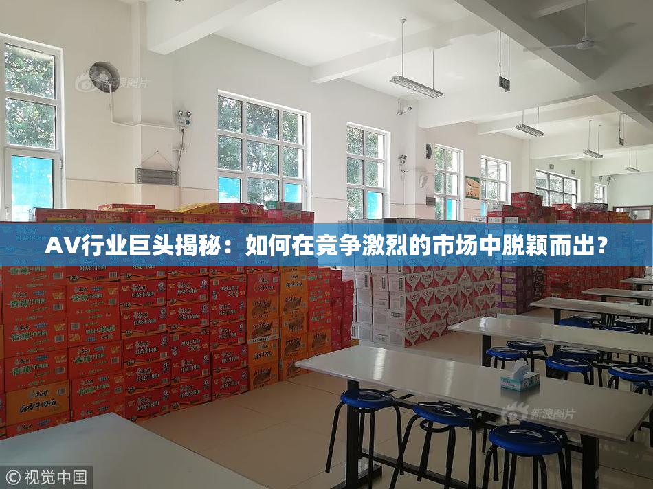 AV行业巨头揭秘：如何在竞争激烈的市场中脱颖而出？