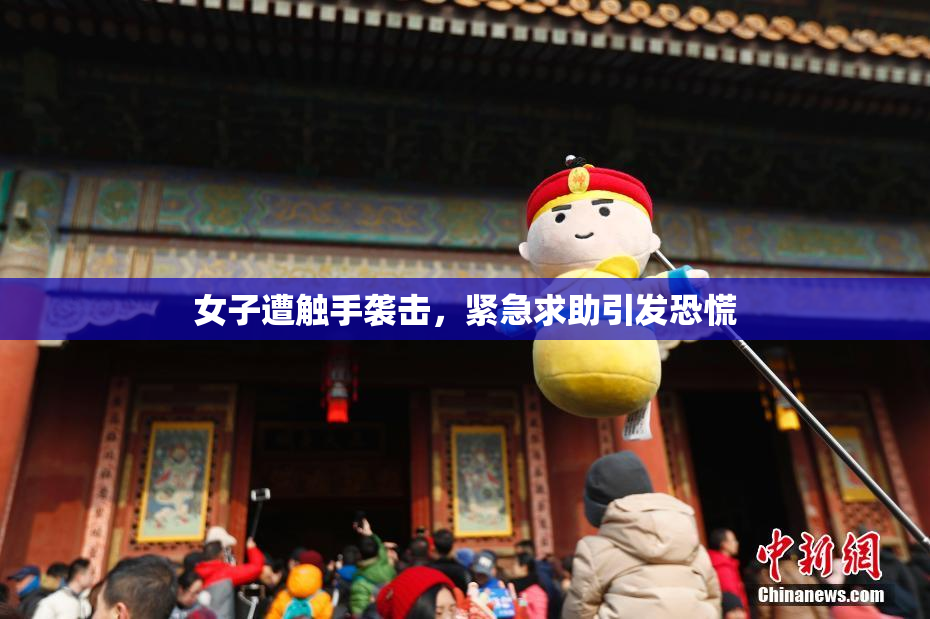 女子遭触手袭击，紧急求助引发恐慌