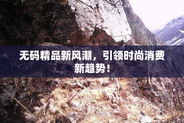 无码精品新风潮，引领时尚消费新趋势！