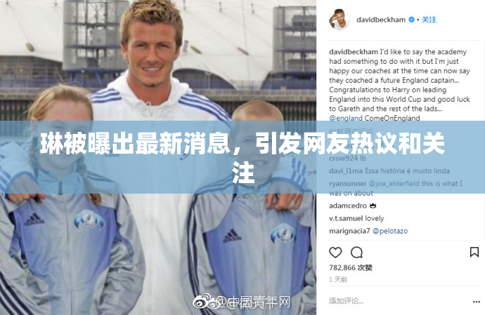 琳被曝出最新消息，引发网友热议和关注