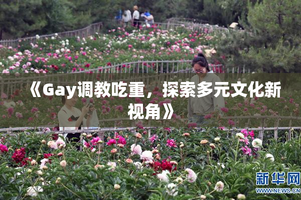 《Gay调教吃重，探索多元文化新视角》