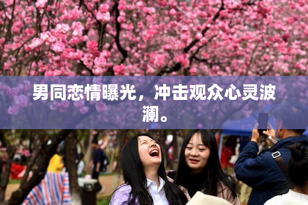 男同恋情曝光，冲击观众心灵波澜。