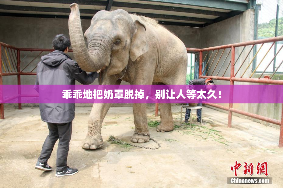 乖乖地把奶罩脱掉，别让人等太久！