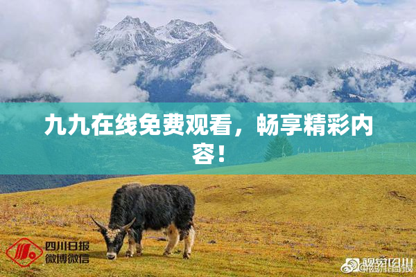 九九在线免费观看，畅享精彩内容！