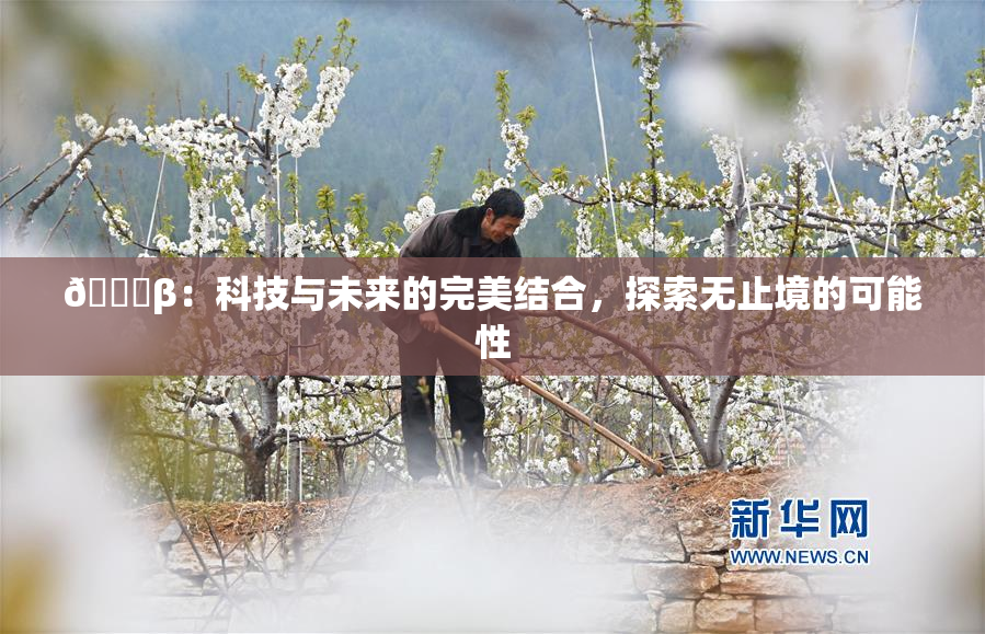 🔞β：科技与未来的完美结合，探索无止境的可能性