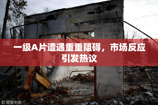 一级A片遭遇重重阻碍，市场反应引发热议
