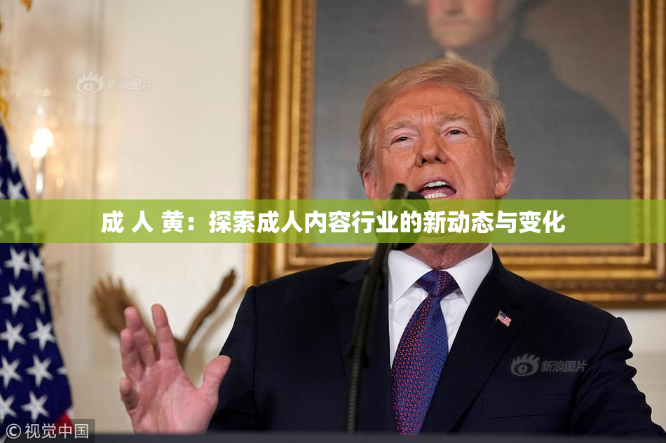 成 人 黄：探索成人内容行业的新动态与变化