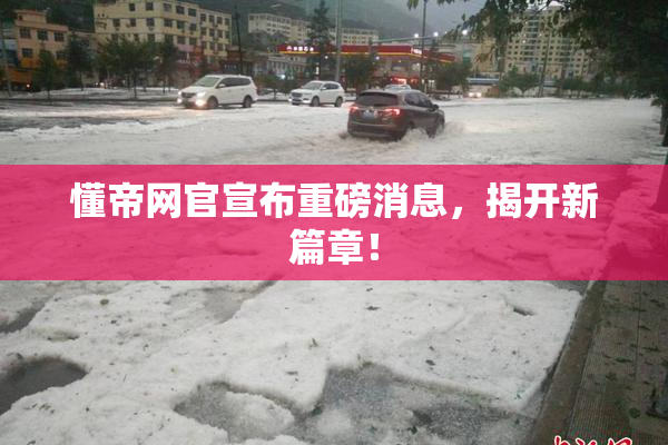 懂帝网官宣布重磅消息，揭开新篇章！