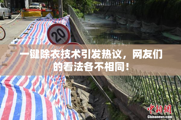 一键除衣技术引发热议，网友们的看法各不相同！