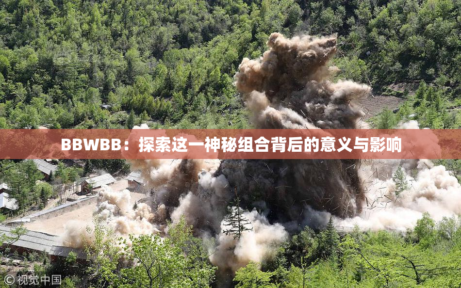 BBWBB：探索这一神秘组合背后的意义与影响