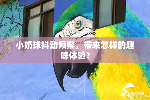 小奶球抖动频繁，带来怎样的趣味体验？