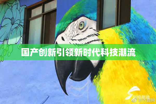 国产创新引领新时代科技潮流